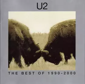 Couverture du produit · The Best Of 1990-2000