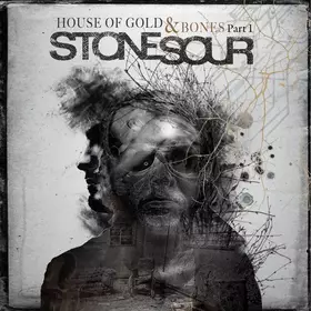 Couverture du produit · House Of Gold & Bones Part 1