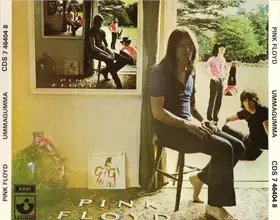 Couverture du produit · Ummagumma
