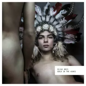 Couverture du produit · Gold In The Ashes