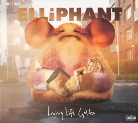 Couverture du produit · Living Life Golden