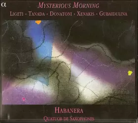 Couverture du produit · Mysterious Morning
