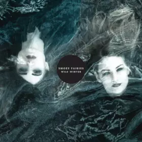 Couverture du produit · Wild Winter