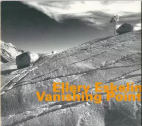 Couverture du produit · Vanishing Point