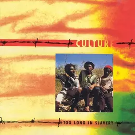 Couverture du produit · Too Long In Slavery