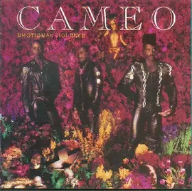Couverture du produit · Emotional Violence