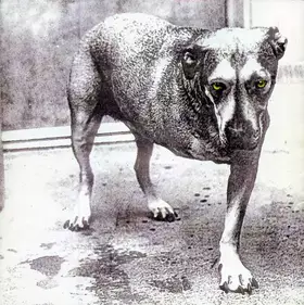 Couverture du produit · Alice In Chains