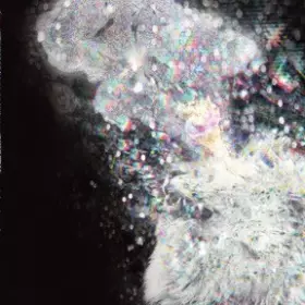 Couverture du produit · Best New Bestiole