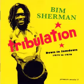 Couverture du produit · Tribulation - Down In Jamdown 1974 To 1979