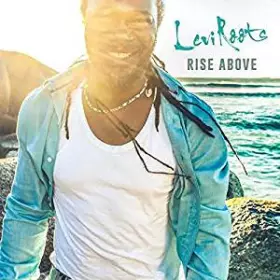 Couverture du produit · Rise Above