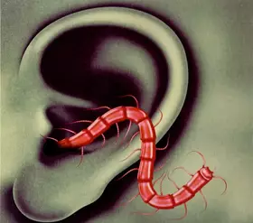 Couverture du produit · An Odd Entrances