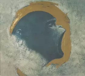 Couverture du produit · Lenne