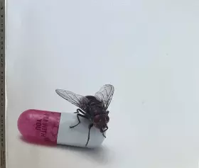 Couverture du produit · I'm With You