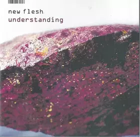 Couverture du produit · Understanding