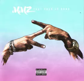 Couverture du produit · Tout Pour Le Gang