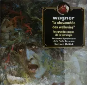 Couverture du produit · L'Anneau Du Nibelung (Extraits)