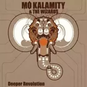 Couverture du produit · Deeper Revolution