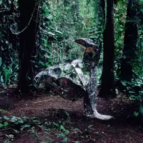 Couverture du produit · Donkey