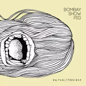 Couverture du produit · Vulture / Provider