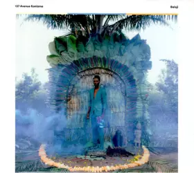 Couverture du produit · 137 Avenue Kaniama