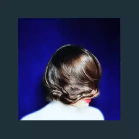 Couverture du produit · Faits Bleus