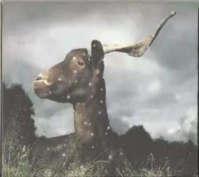 Couverture du produit · La Belle Inutile