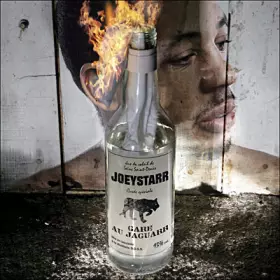 Couverture du produit · Gare Au Jaguarr