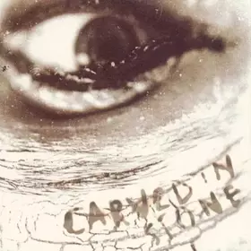 Couverture du produit · Carved In Stone