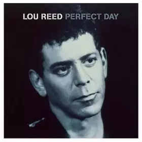 Couverture du produit · Perfect Day