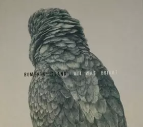 Couverture du produit · All Was Bright