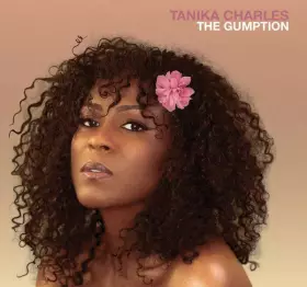 Couverture du produit · The Gumption