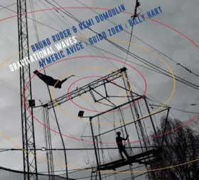 Couverture du produit · Gravitational Waves