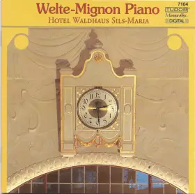 Couverture du produit · Welte-Mignon Piano (Hotel Waldhaus Sils-Maria)