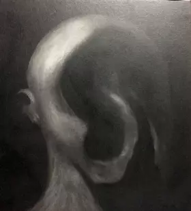 Couverture du produit · Face