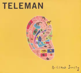 Couverture du produit · Brilliant Sanity