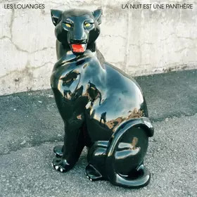 Couverture du produit · La Nuit Est Une Panthère