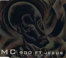 Couverture du produit · If I Only Had A Brain