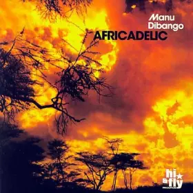 Couverture du produit · Africadelic