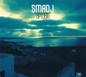 Couverture du produit · Spleen