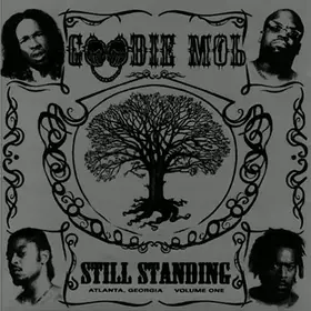Couverture du produit · Still Standing