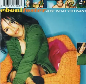Couverture du produit · Just What You Want
