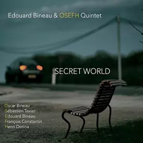 Couverture du produit · Secret World