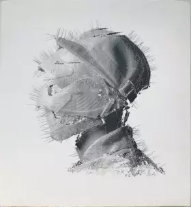 Couverture du produit · The Golden Age