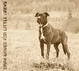 Couverture du produit · Dark Waves For Little Greys