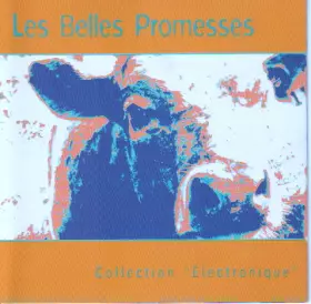 Couverture du produit · Les Belles Promesses - Collection "Électronique"
