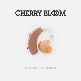 Couverture du produit · Secret Sounds