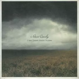 Couverture du produit · I See Three Birds Flying