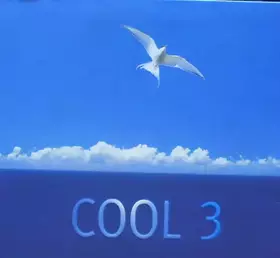 Couverture du produit · Cool 3