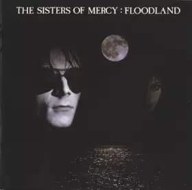 Couverture du produit · Floodland