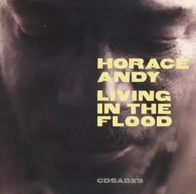 Couverture du produit · Living In The Flood